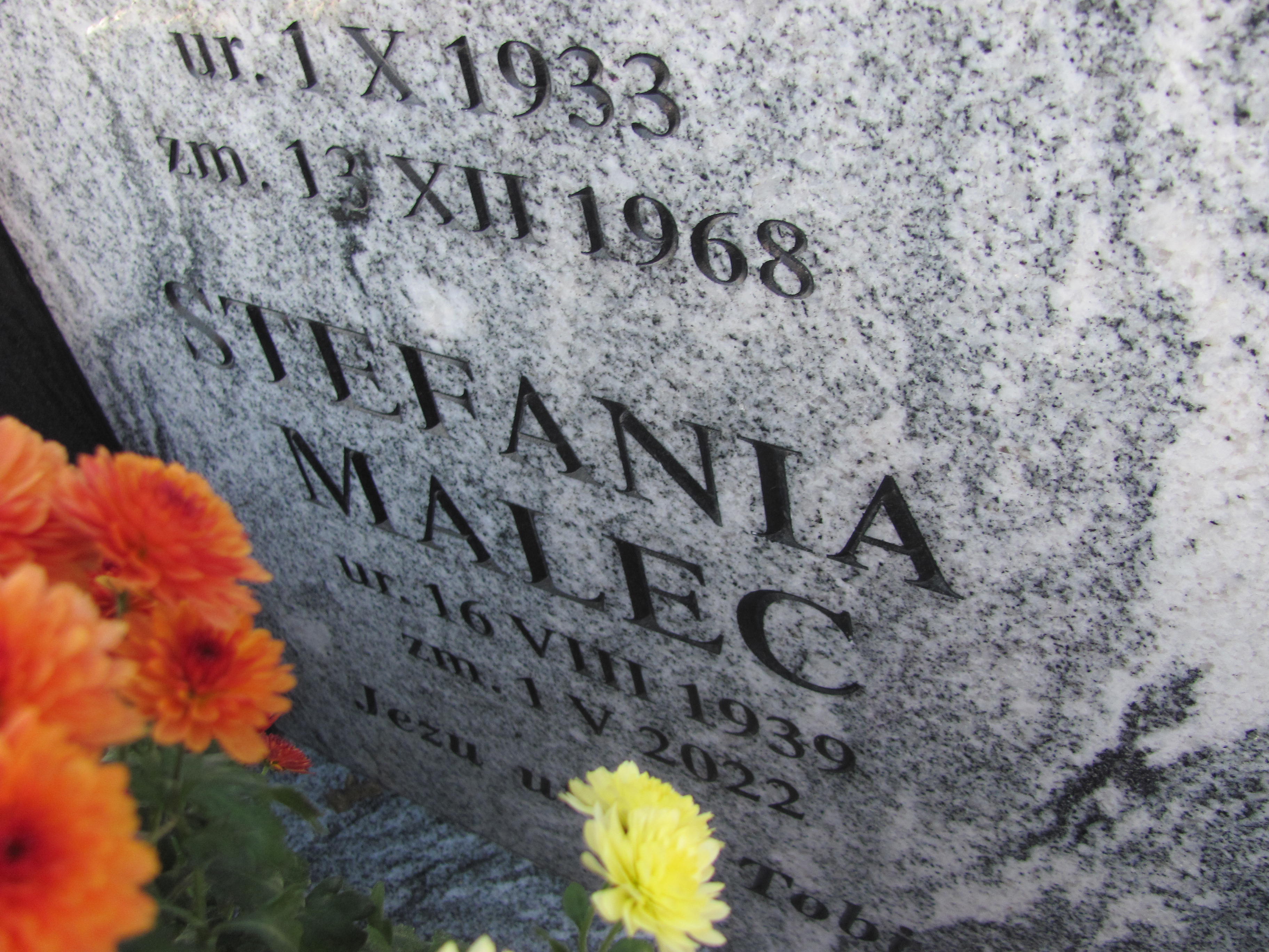 Tadeusz Malec 1933 Podstolice - Grobonet - Wyszukiwarka osób pochowanych