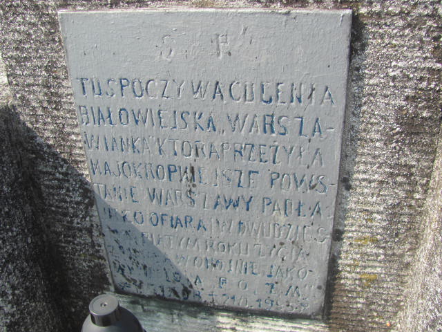 Eugenia Białowiejska Podstolice - Grobonet - Wyszukiwarka osób pochowanych