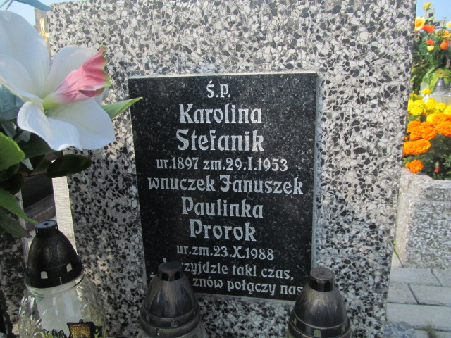 Paulina Karolina Prorok 1988 Podstolice - Grobonet - Wyszukiwarka osób pochowanych