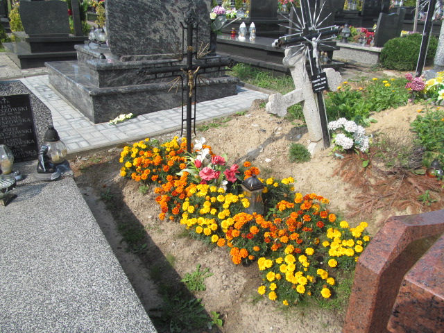  NN Podstolice - Grobonet - Wyszukiwarka osób pochowanych