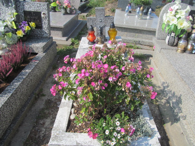  NN Podstolice - Grobonet - Wyszukiwarka osób pochowanych